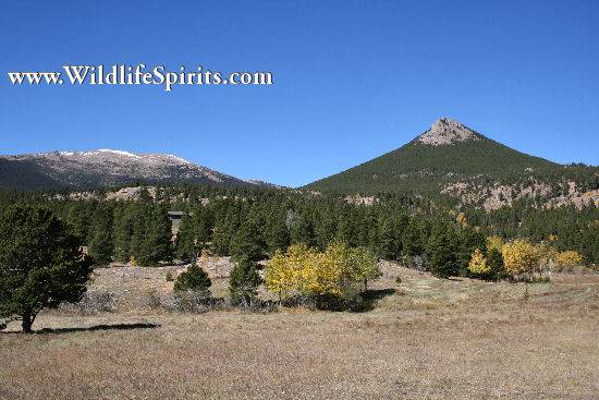 Click Picture to send as an  E-PostCard 57k 550x367